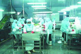 國內最成功的 山寨 認為正品質量太差,因此收購正品公司