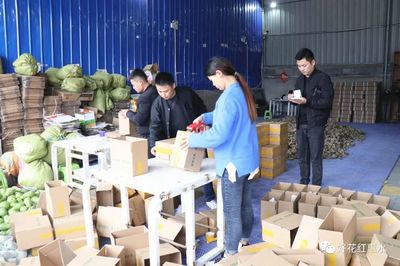 惠水:預(yù)熱&ldquo;雙十一&rdquo; 佛手瓜受青睞